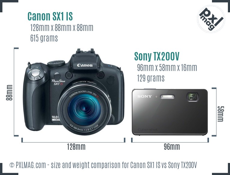 Canon SX1 IS vs Sony TX200V size comparison Canon SX1 IS vs Sony TX200V size comparison
