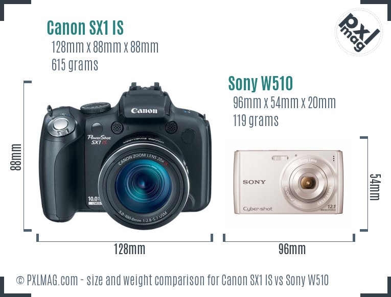 Canon SX1 IS vs Sony W510 size comparison