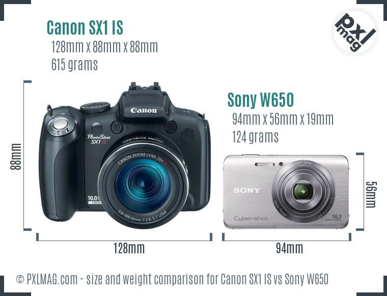 Canon SX1 IS vs Sony W650 size comparison