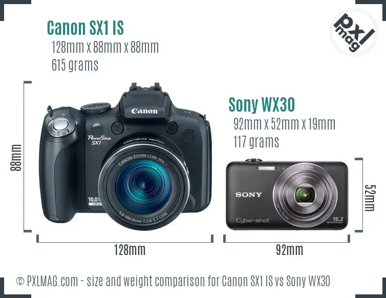 Canon SX1 IS vs Sony WX30 size comparison