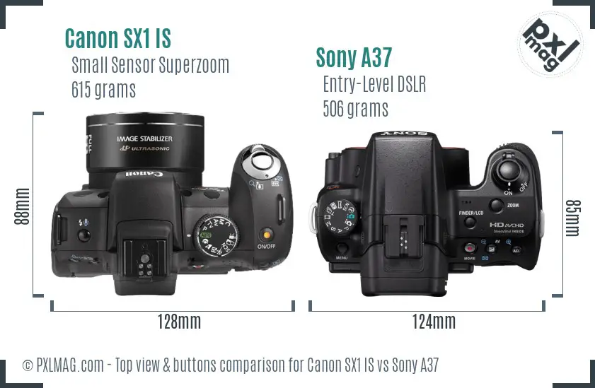 Canon SX1 IS vs Sony A37 top view buttons comparison