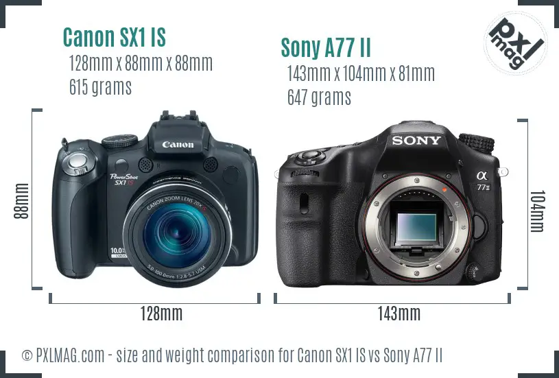 Canon SX1 IS vs Sony A77 II size comparison