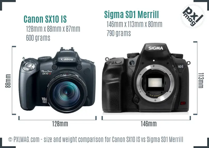 Canon SX10 IS vs Sigma SD1 Merrill size comparison