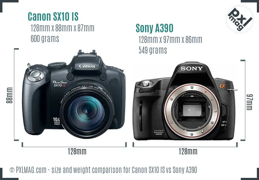 Canon SX10 IS vs Sony A390 size comparison