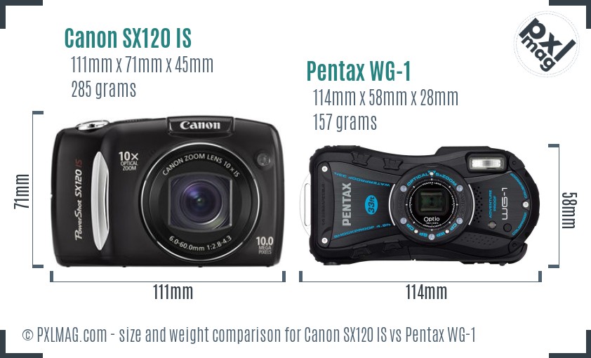 Canon SX120 IS vs Pentax WG-1 size comparison Canon SX120 IS vs Pentax WG-1 size comparison