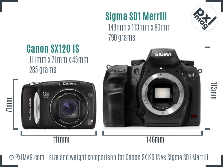 Canon SX120 IS vs Sigma SD1 Merrill size comparison