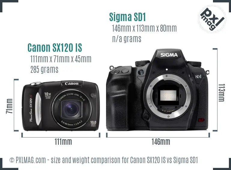 Canon SX120 IS vs Sigma SD1 size comparison