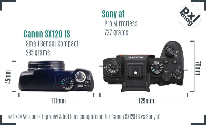 Canon SX120 IS vs Sony a1 top view buttons comparison Canon SX120 IS vs Sony a1 top view buttons comparison