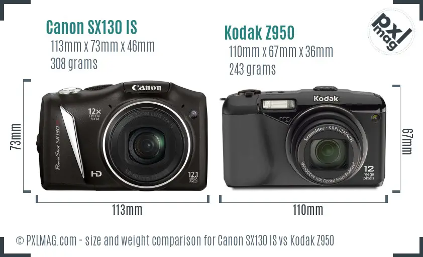 Canon SX130 IS vs Kodak Z950 size comparison