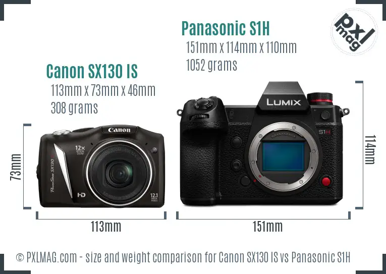 Canon SX130 IS vs Panasonic S1H size comparison