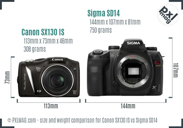 Canon SX130 IS vs Sigma SD14 size comparison