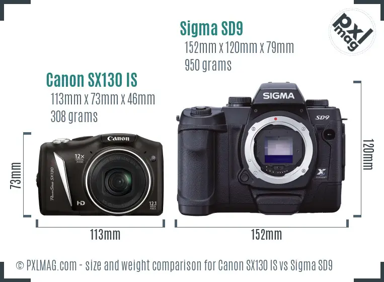 Canon SX130 IS vs Sigma SD9 size comparison