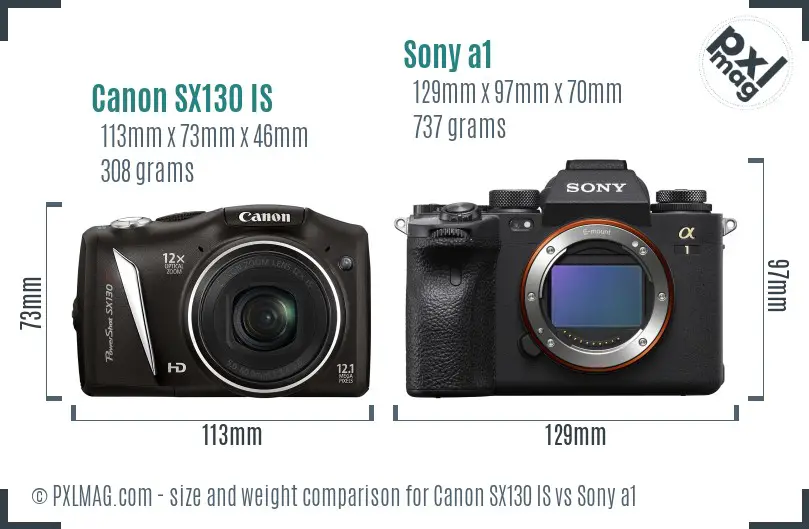 Canon SX130 IS vs Sony a1 size comparison