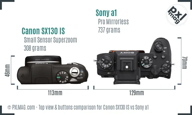 Canon SX130 IS vs Sony a1 top view buttons comparison