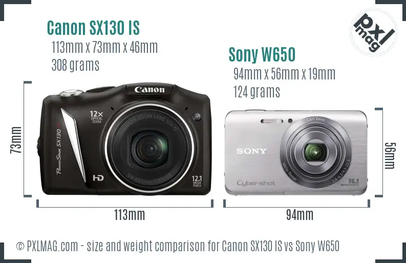 Canon SX130 IS vs Sony W650 size comparison