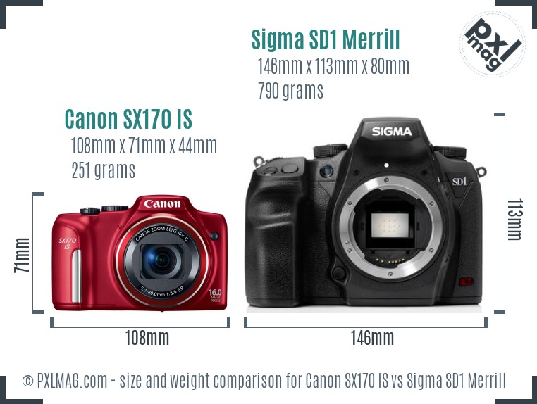 Canon SX170 IS vs Sigma SD1 Merrill size comparison