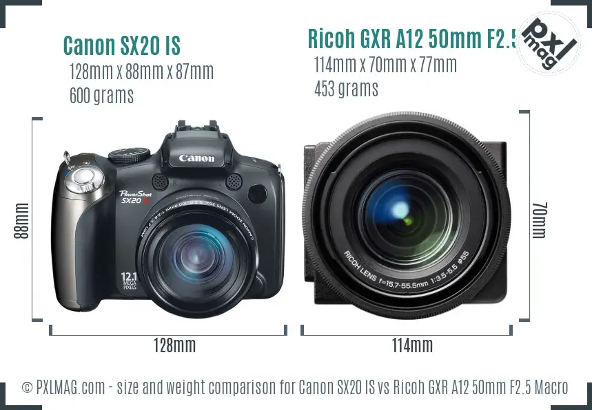 Size and Ergonomics Comparison of Canon SX20 IS and Ricoh GXR A12 50mm F2.5 Macro