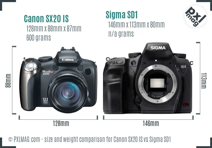 Canon SX20 IS vs Sigma SD1 size comparison Canon SX20 IS vs Sigma SD1 size comparison