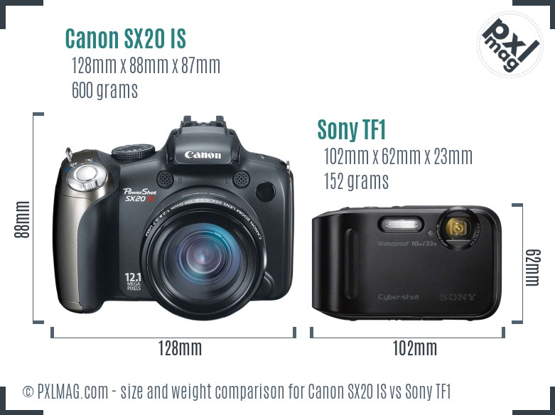 Canon SX20 IS vs Sony TF1 size comparison