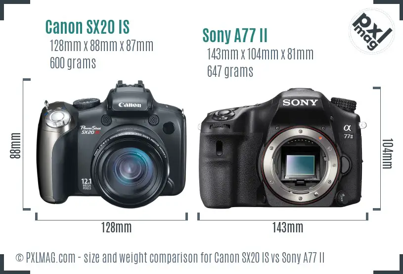 Canon SX20 IS vs Sony A77 II size comparison