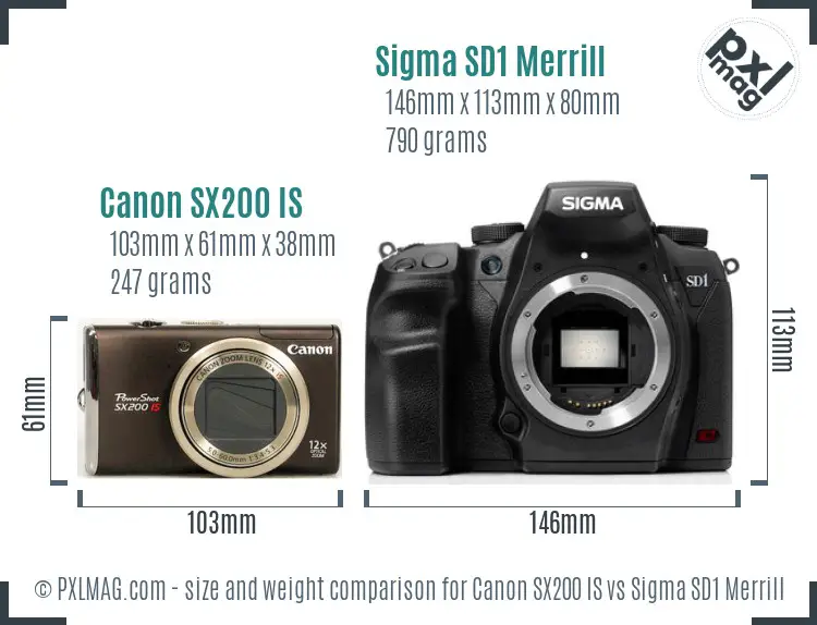 Canon SX200 IS vs Sigma SD1 Merrill size comparison