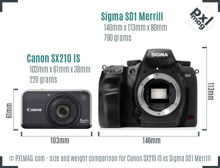 Canon SX210 IS vs Sigma SD1 Merrill size comparison