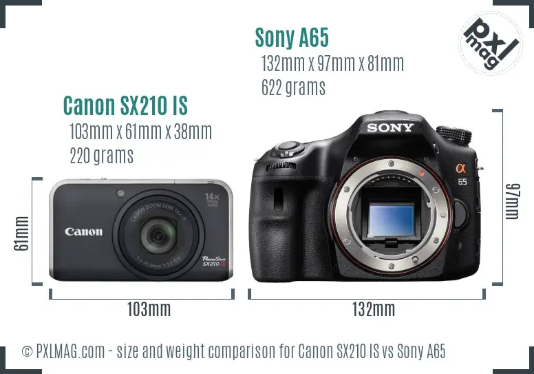 Canon SX210 IS vs Sony A65 size comparison