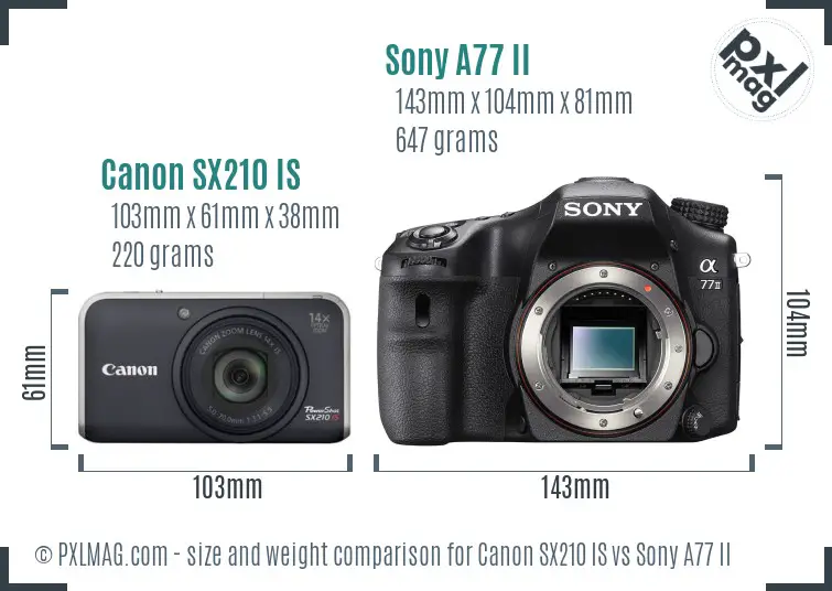 Canon SX210 IS vs Sony A77 II size comparison