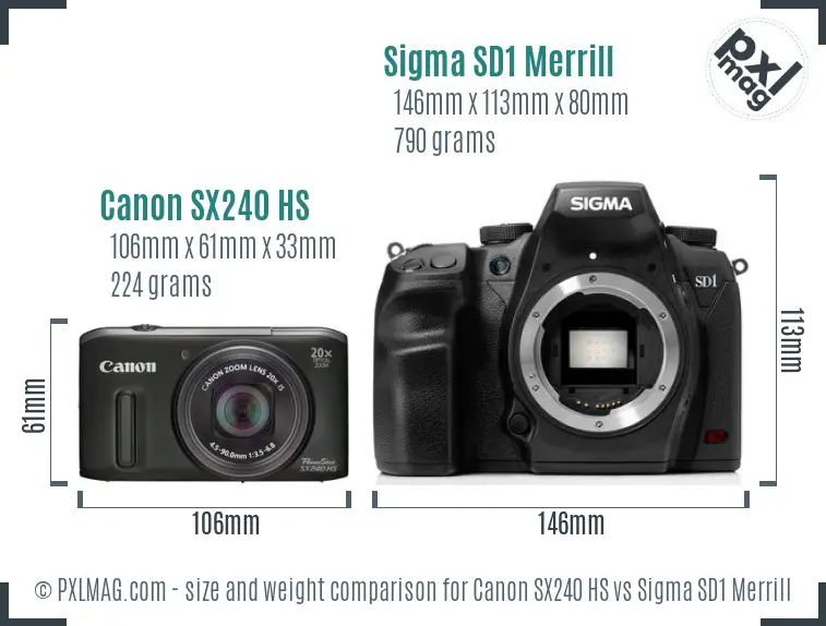 Canon SX240 HS vs Sigma SD1 Merrill size comparison