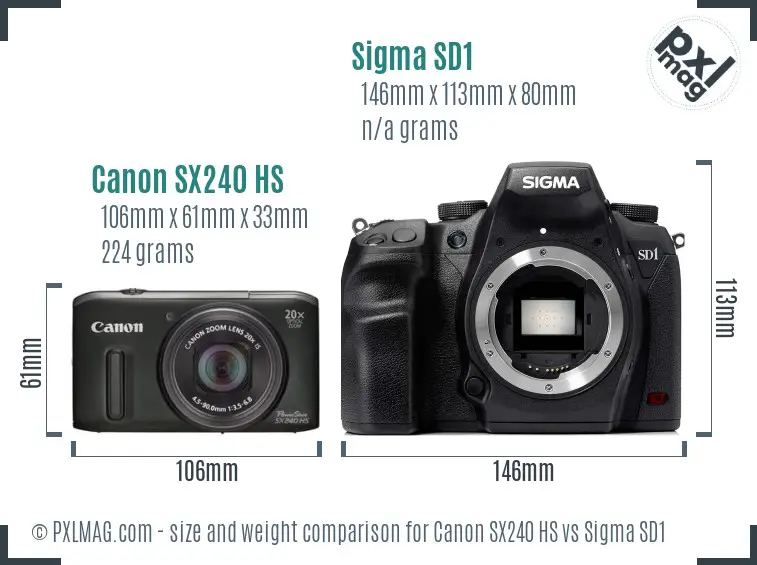 Canon SX240 HS vs Sigma SD1 size comparison