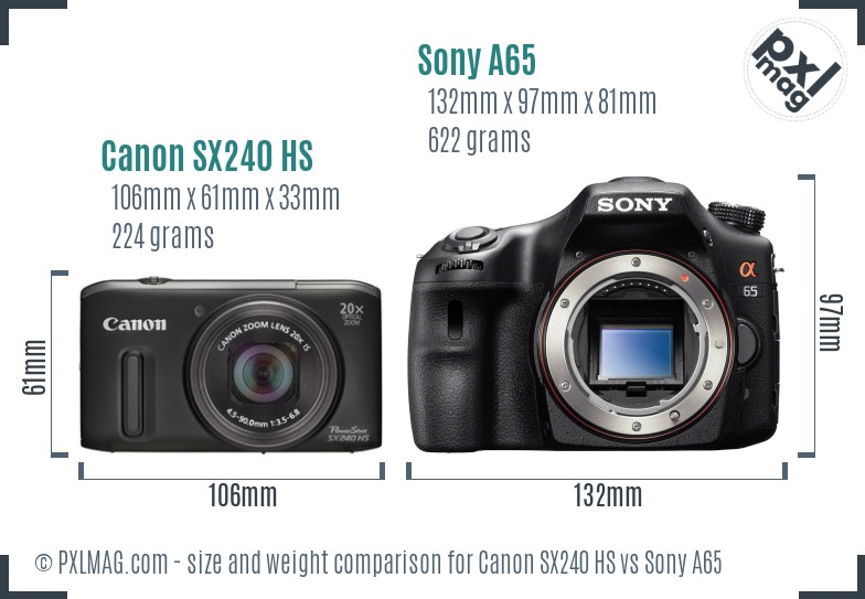 Canon SX240 HS vs Sony A65 size comparison