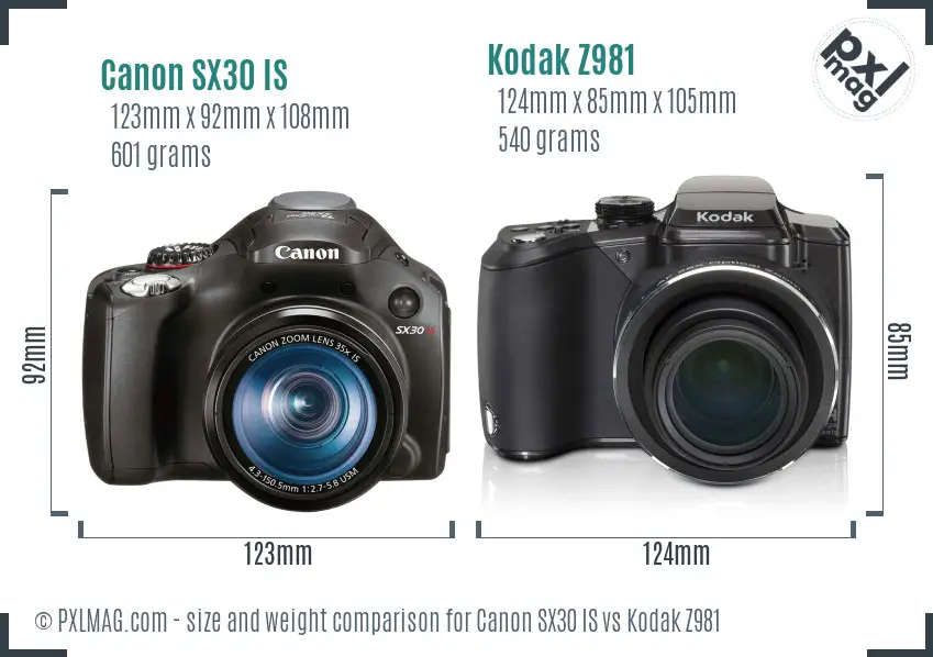 Canon SX30 IS vs Kodak Z981 size comparison