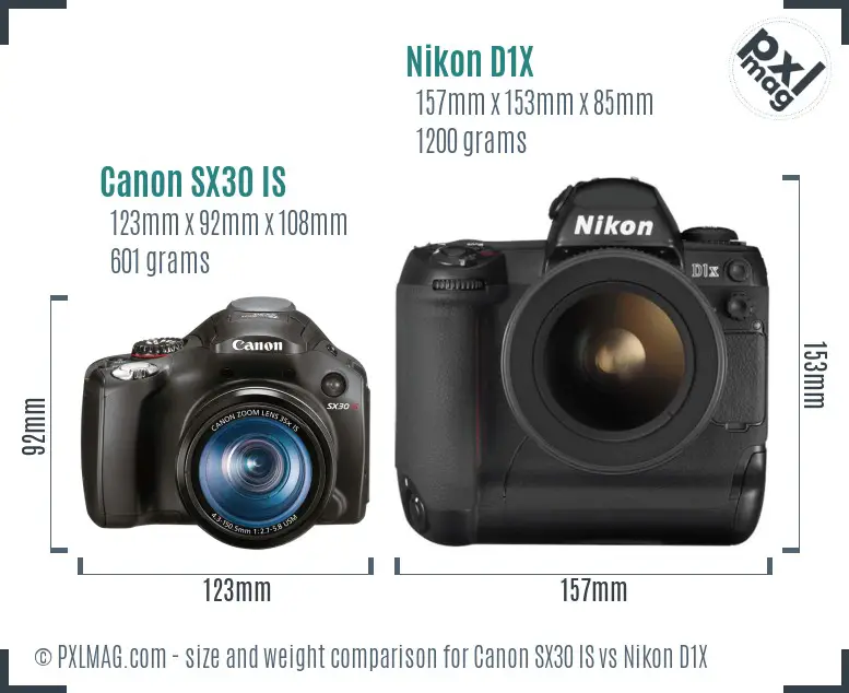 Canon SX30 IS vs Nikon D1X size comparison