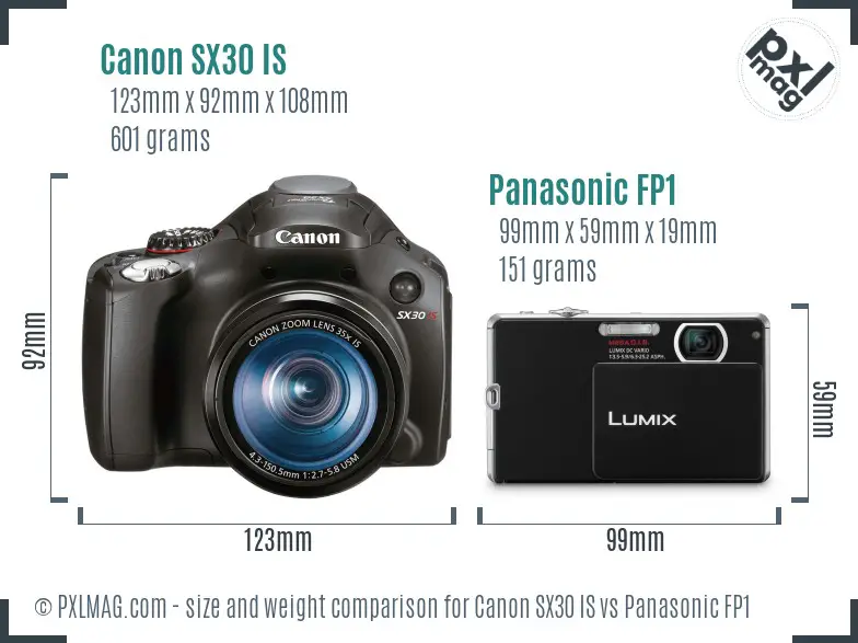 Canon SX30 IS vs Panasonic FP1 size comparison