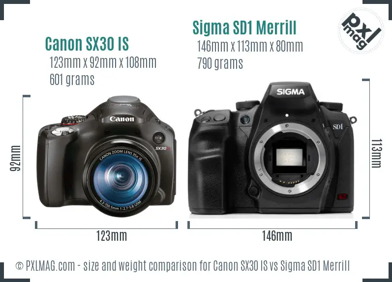 Canon SX30 IS vs Sigma SD1 Merrill size comparison