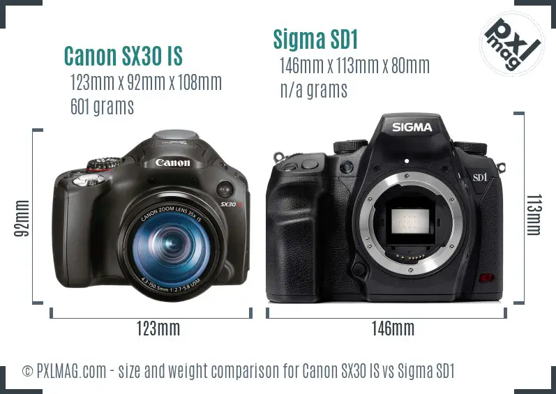 Canon SX30 IS vs Sigma SD1 size comparison Canon SX30 IS vs Sigma SD1 size comparison