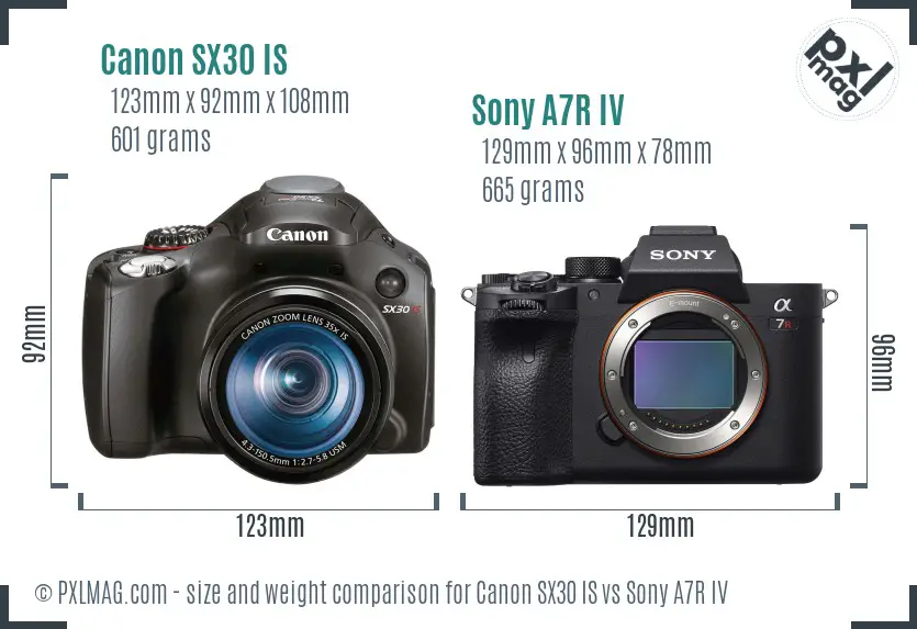 Canon SX30 IS vs Sony A7R IV size comparison