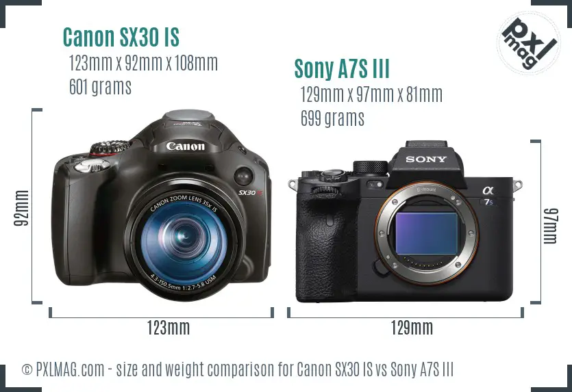 Canon SX30 IS vs Sony A7S III size comparison