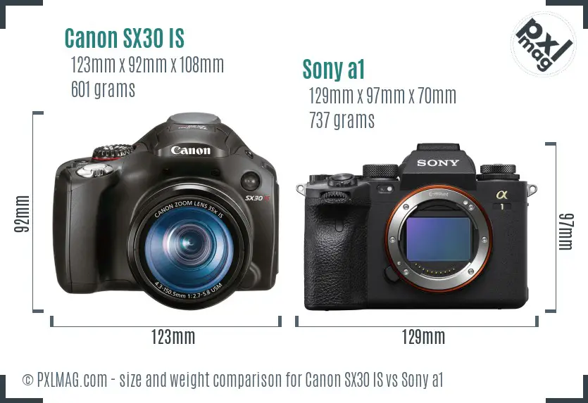 Canon SX30 IS vs Sony a1 size comparison