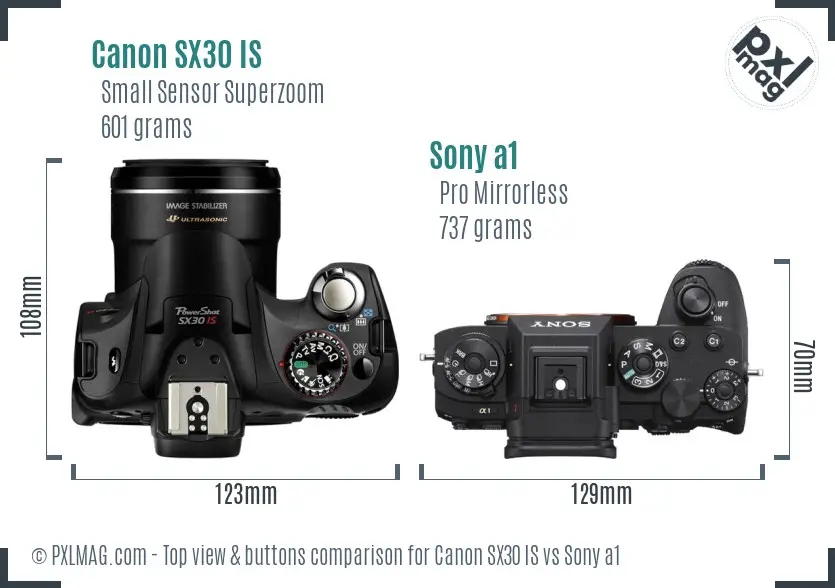 Canon SX30 IS vs Sony a1 top view buttons comparison