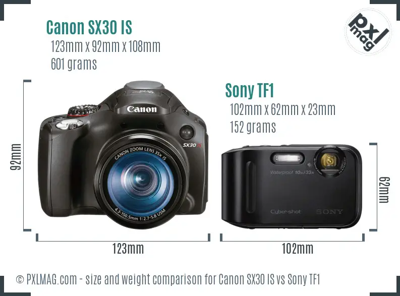 Canon SX30 IS vs Sony TF1 size comparison