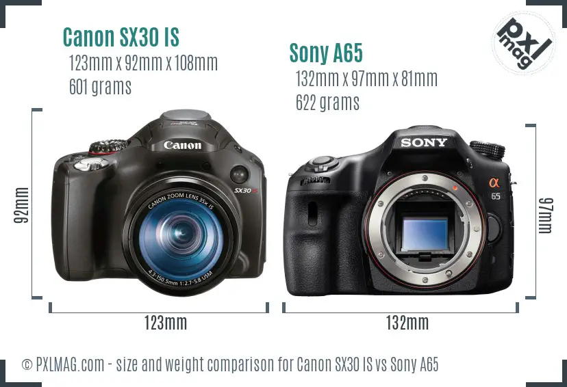 Canon SX30 IS vs Sony A65 size comparison