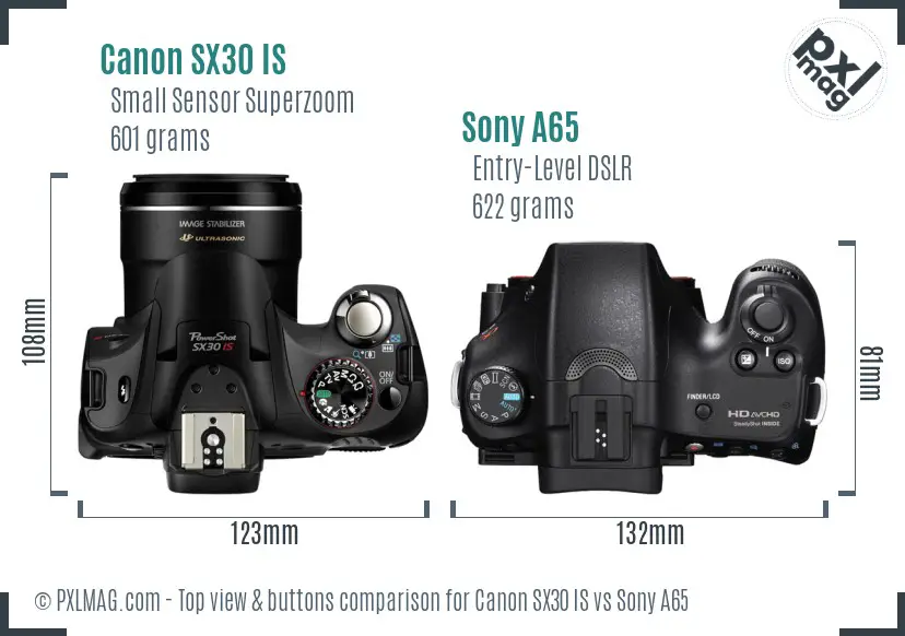 Canon SX30 IS vs Sony A65 top view buttons comparison