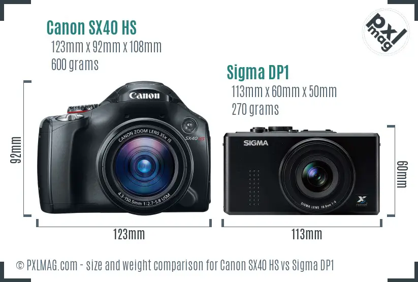 Canon SX40 HS vs Sigma DP1 size comparison