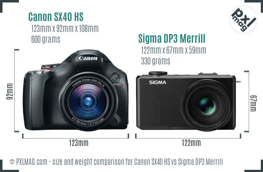 Canon SX40 HS vs Sigma DP3 Merrill size comparison