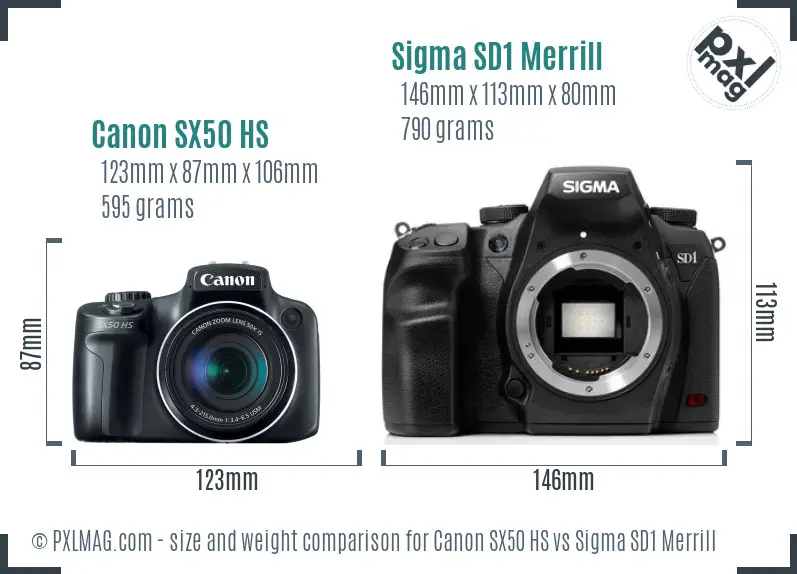 Canon SX50 HS vs Sigma SD1 Merrill size comparison