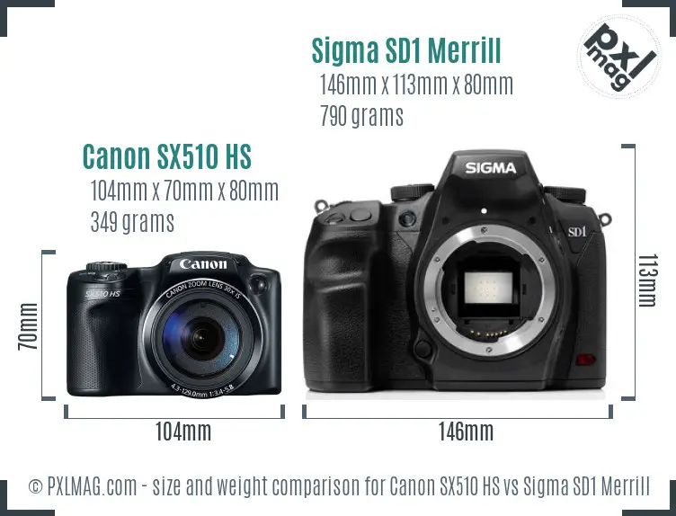 Canon SX510 HS vs Sigma SD1 Merrill size comparison
