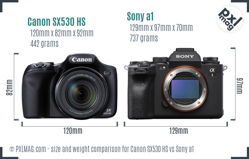 Canon SX530 HS vs Sony a1 size comparison