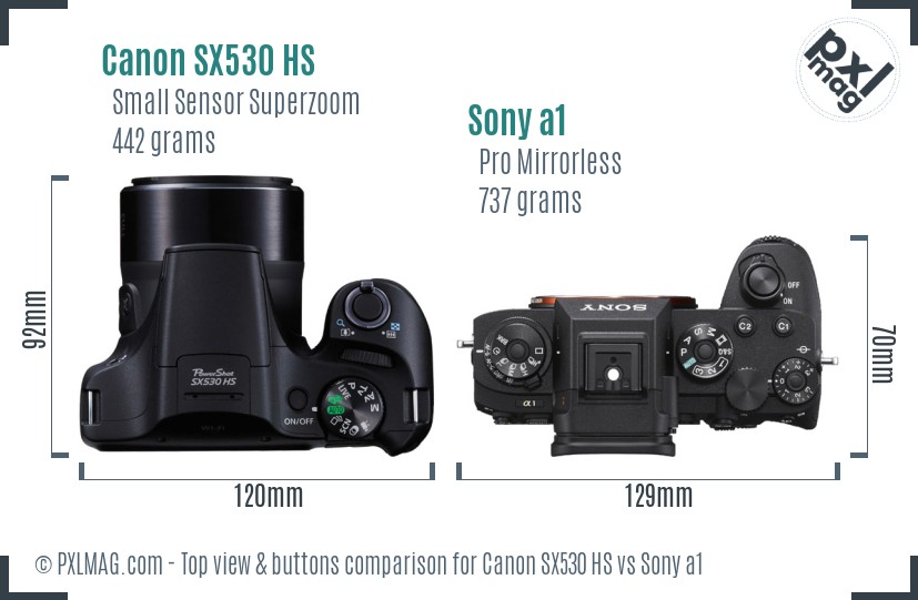 Canon SX530 HS vs Sony a1 top view buttons comparison