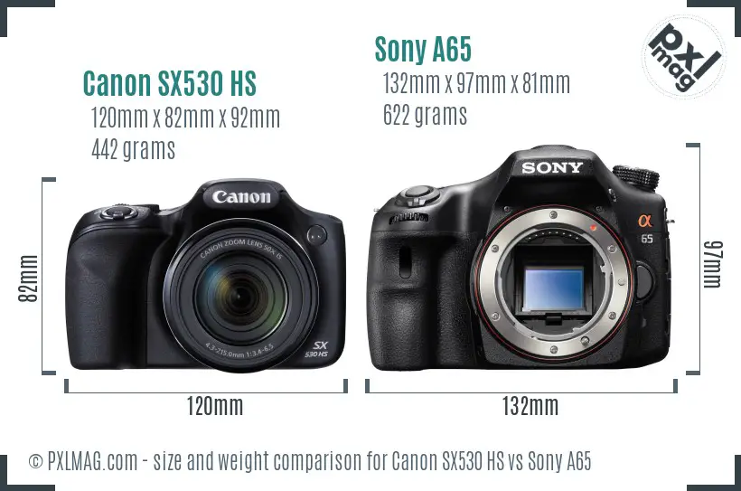 Canon SX530 HS vs Sony A65 size comparison